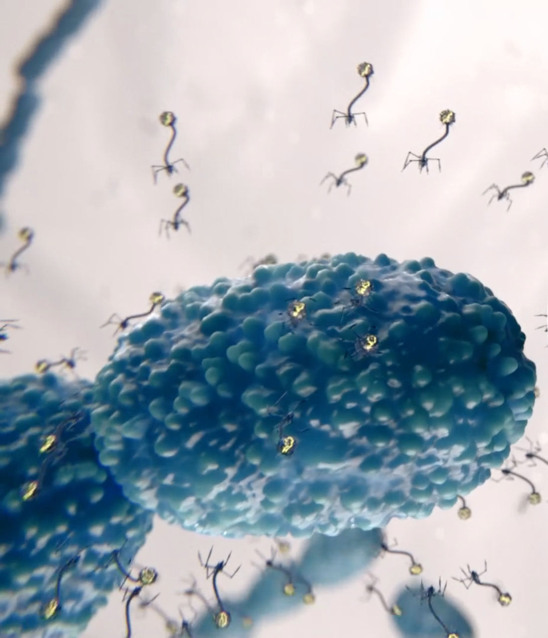 The great phage escape: How a breakthrough in dairy cultures could transform fermentation in dairy and beyond